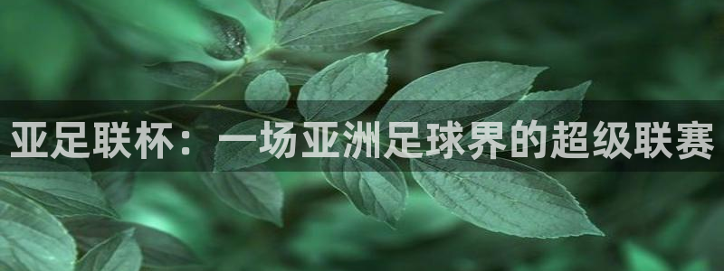上海劲爆体育频道直播：亚足联杯：一场亚洲足球界的超级联赛