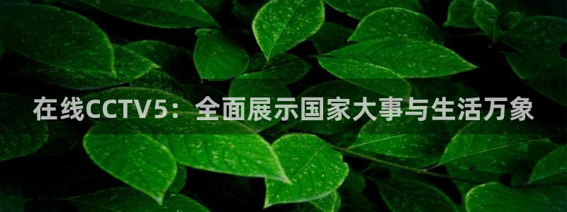 劲爆体育在线直播nba直播：在线CCTV5：全面展示国家大事与生活万象