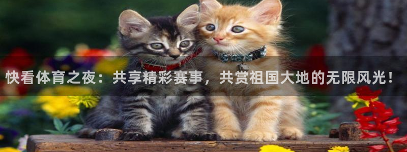 nba劲爆体育在线直播：快看体育之夜：共享精彩赛事，共赏祖国大地的无限风光！