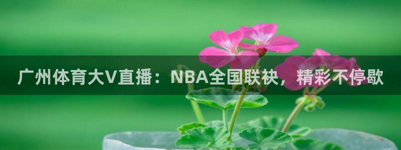 劲爆体育节目表直播：广州体育大V直播：NBA全国联袂，精彩不停歇