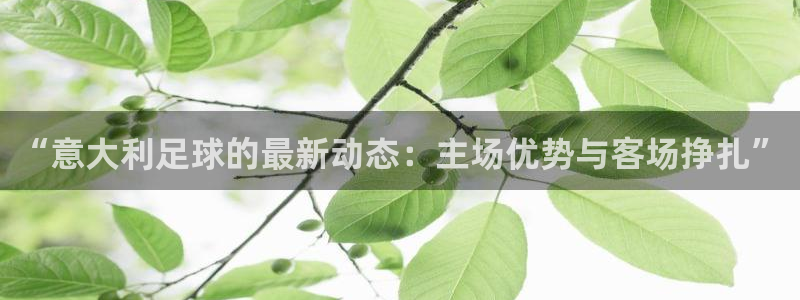 劲爆体育上海直播：“意大利足球的最新动态：主场优势与客场挣扎”
