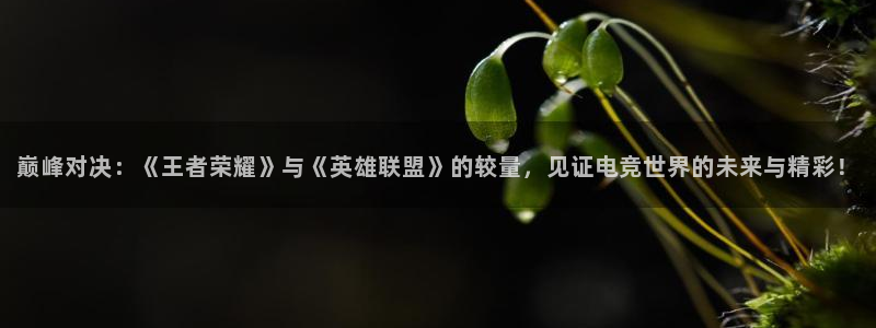 劲爆体育nba在线直播播球帝：巅峰对决：《王者荣耀》与《英雄联盟》的较量，见证电竞世界的未来与精彩！