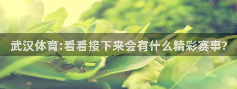 劲爆体育直播nba节目表：武汉体育:看看接下来会有什么精彩赛事?