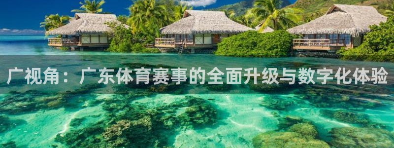 劲爆体育在线直播nba高清观看：广视角：广东体育赛事的全面升级与数字化体验