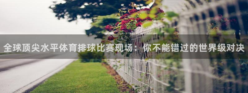 劲爆体育nba直播视频：全球顶尖水平体育排球比赛现场：你不能错过的世界级对决