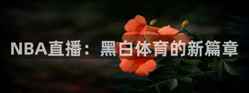 劲爆体育台直播