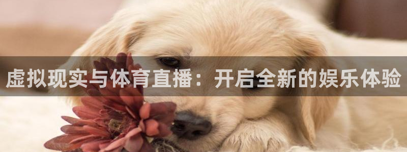 劲爆体育超清在线直播观看：虚拟现实与体育直播：开启全新的娱乐体验