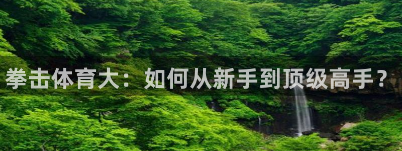 劲爆体育在线直播nba高清观看：拳击体育大：如何从新手到顶级高手？