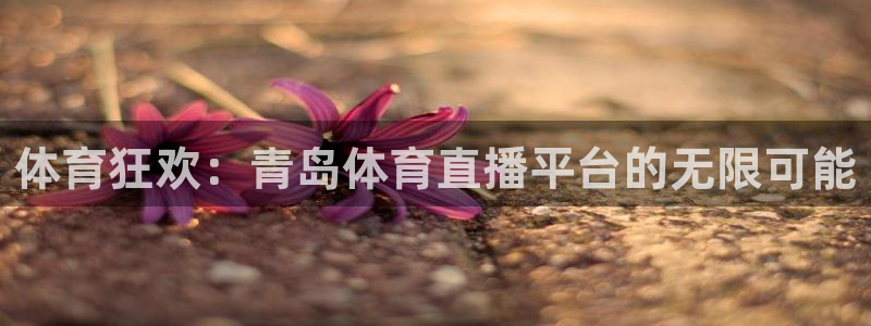 劲爆体育直播免费观看nba：体育狂欢：青岛体育直播平台的无限可能